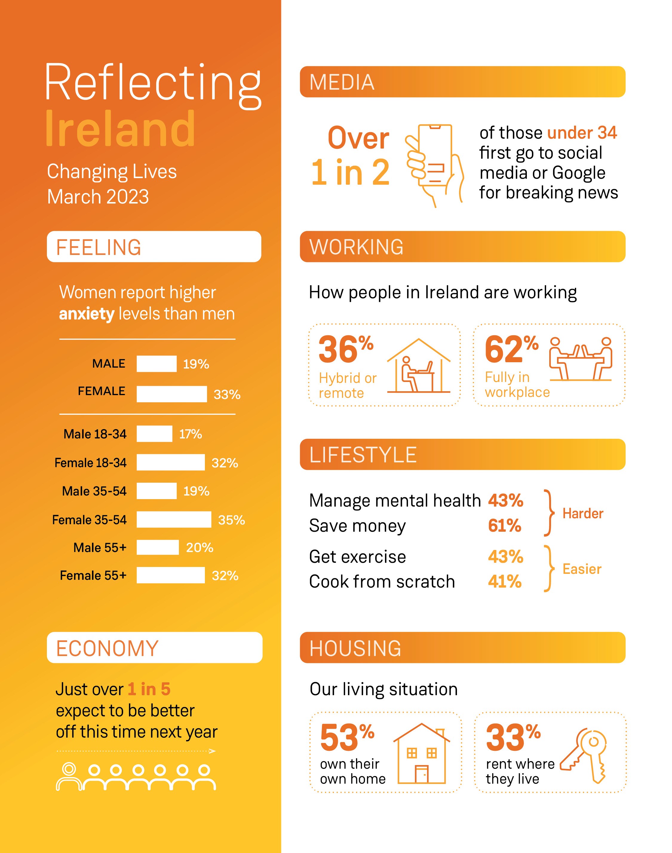Reflecting Ireland Changing Lives Infographic